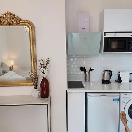 아파트 *monge Zola* 디종
