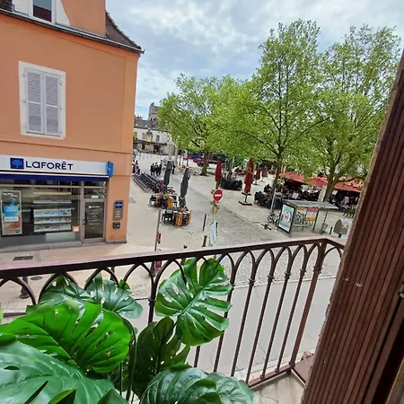 Apartment *monge Zola* Dijon