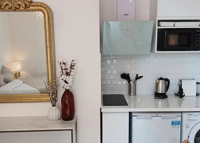 Appartement *monge Zola* Dijon