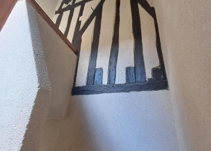 *monge Zola* Ντιζόν